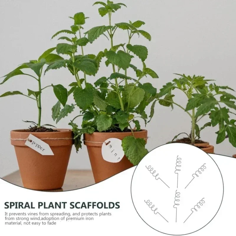Bonsai Gardener - Supporto per Piante Rampicanti, Pali a