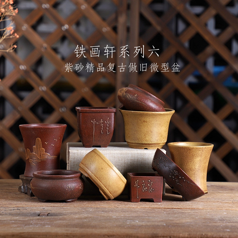 Bonsai Garden With Sand - Vaso per bonsai in sabbia viola,