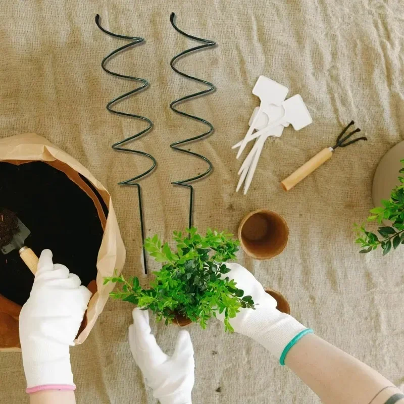 Supporto per Piante Rampicanti - Bonsai Gardener recensione e prezzo