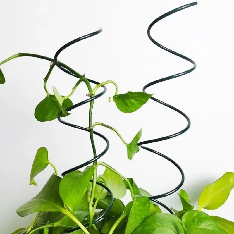 Supporto per Piante Rampicanti - Bonsai Gardener recensione e prezzo