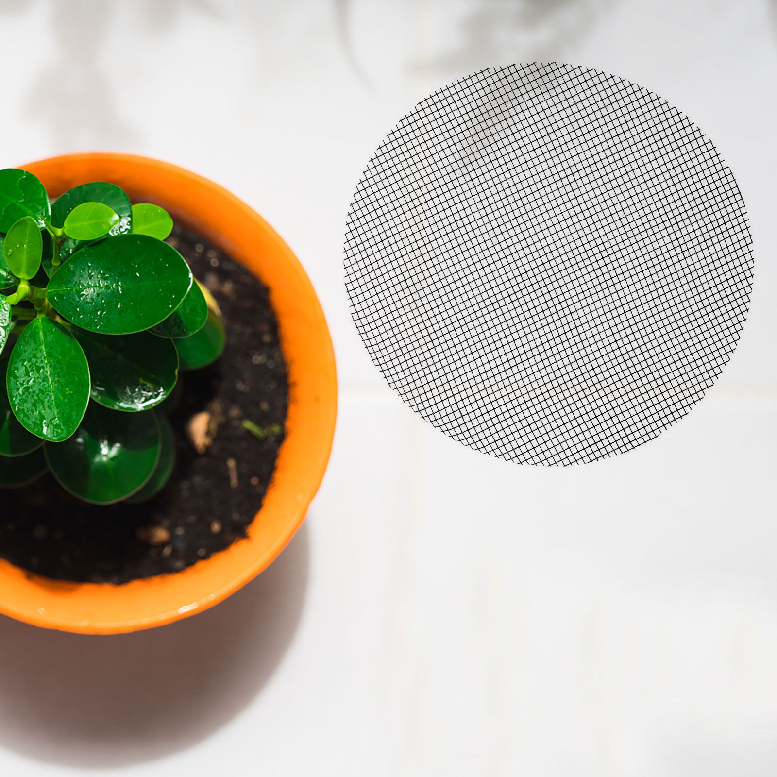 50 Pezzi di Teli a Rete per Fo - Bonsai Gardener recensione e prezzo