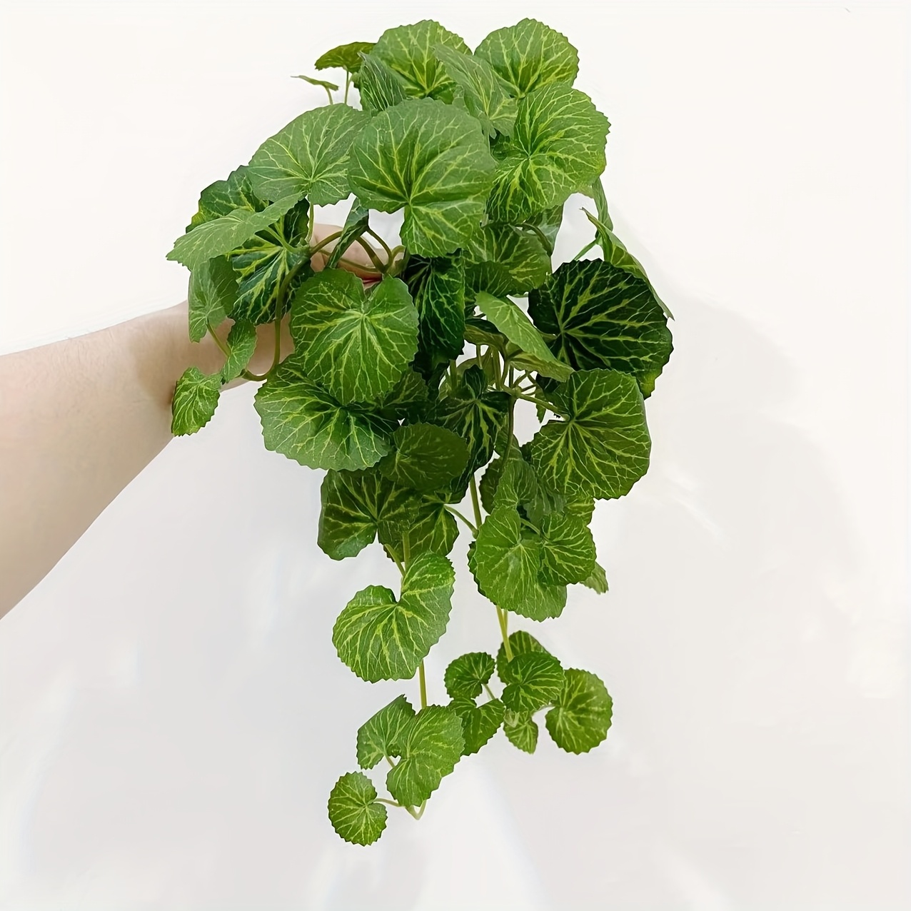 Una pianta rampicante artifici - Bonsai Garden Home recensione e prezzo