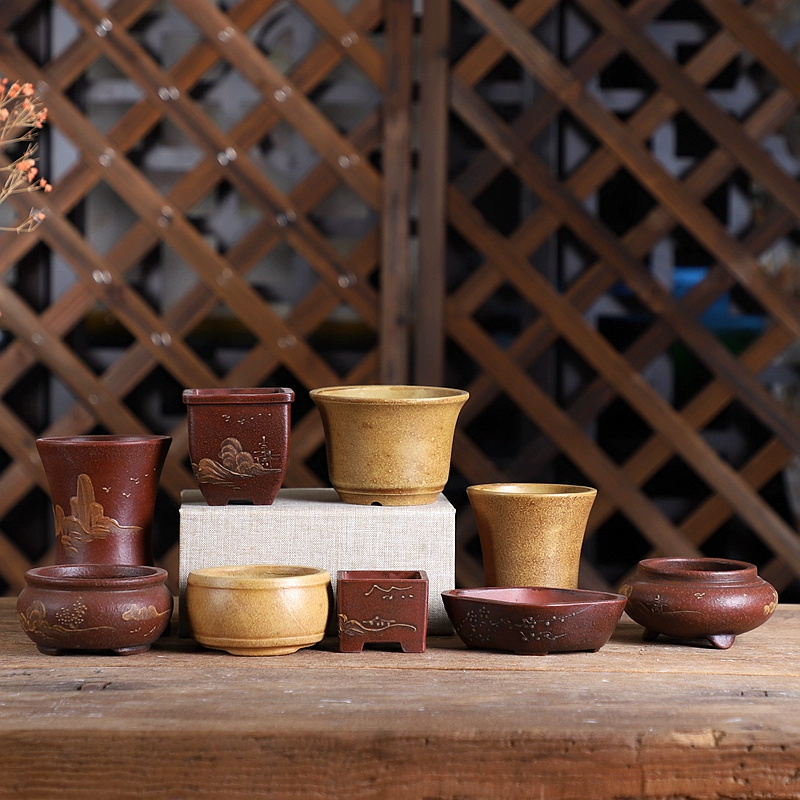 Vaso per bonsai in sabbia viol - Bonsai Garden With Sand recensione e prezzo