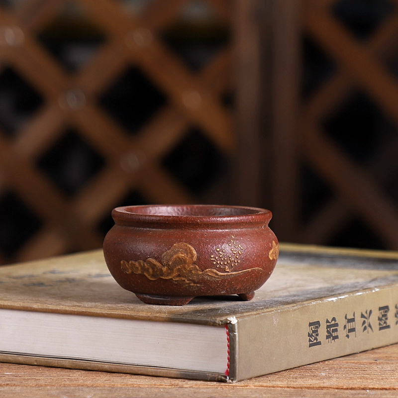 Vaso per bonsai in sabbia viol - Bonsai Garden With Sand recensione e prezzo