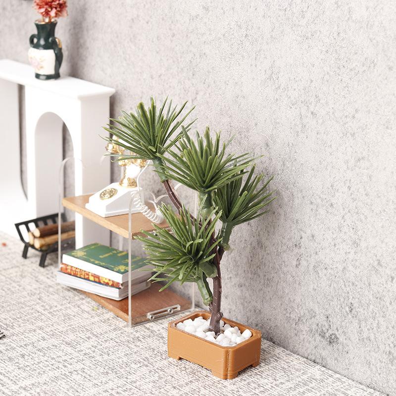 1 Pezzo Albero di Pino in Mini - Bonsai Gardener recensione e prezzo
