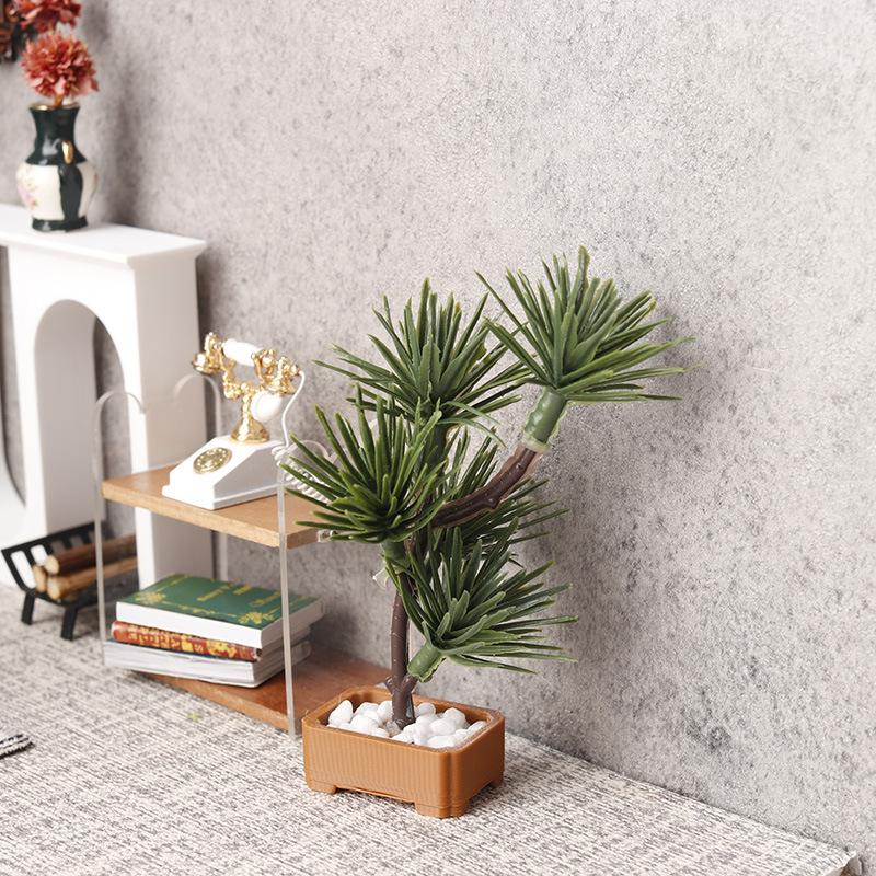 1 Pezzo Albero di Pino in Mini - Bonsai Gardener recensione e prezzo