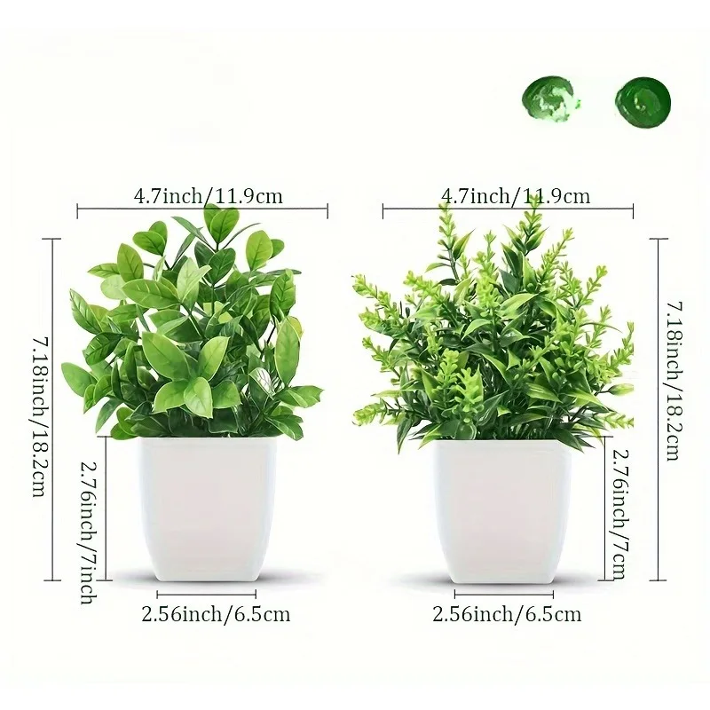 Commercio all'ingrosso Bonsai  - Bonsai Garden Home recensione e prezzo