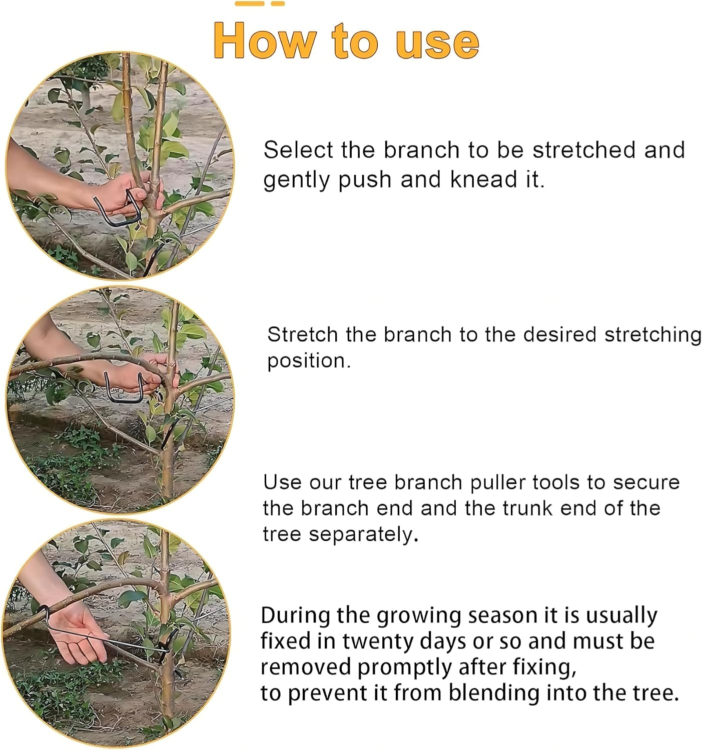 Modellatore Regolabile per Ram - Bonsai Gardener recensione e prezzo