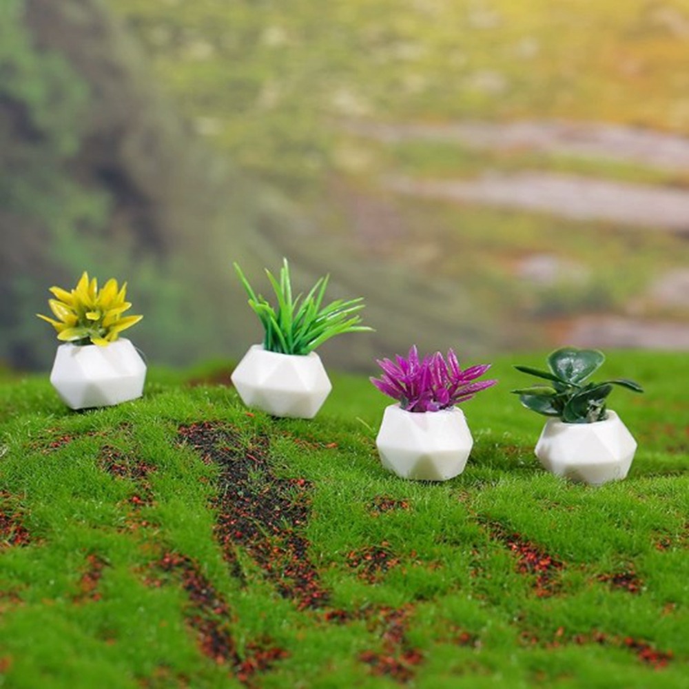 1:12 Casa delle bambole in min - Bonsai Garden Home recensione e prezzo