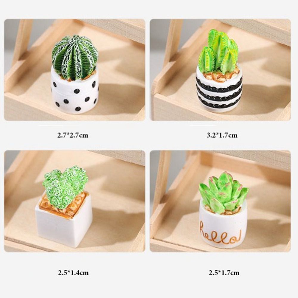 1:12 Casa delle bambole in min - Bonsai Garden Home recensione e prezzo