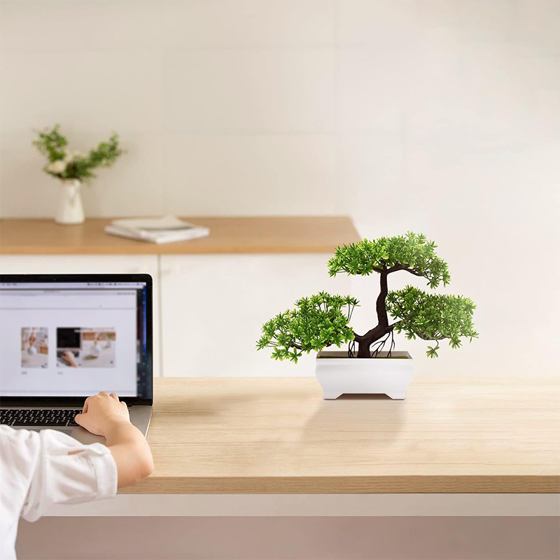 Pianta finta bionica in plasti - Bonsai Garden Home recensione e prezzo