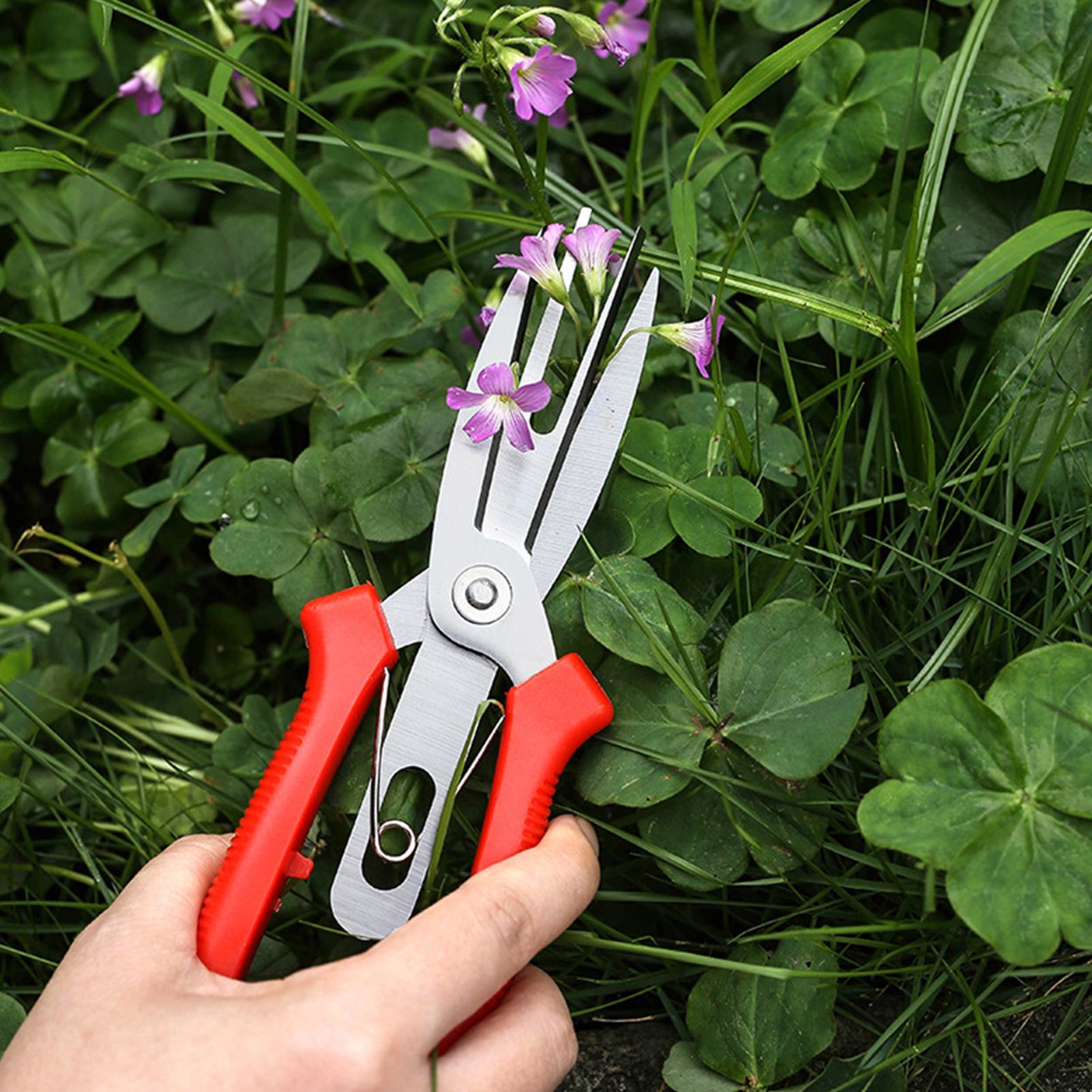 Forbici da Giardino in Acciaio - Bonsai Gardener recensione e prezzo