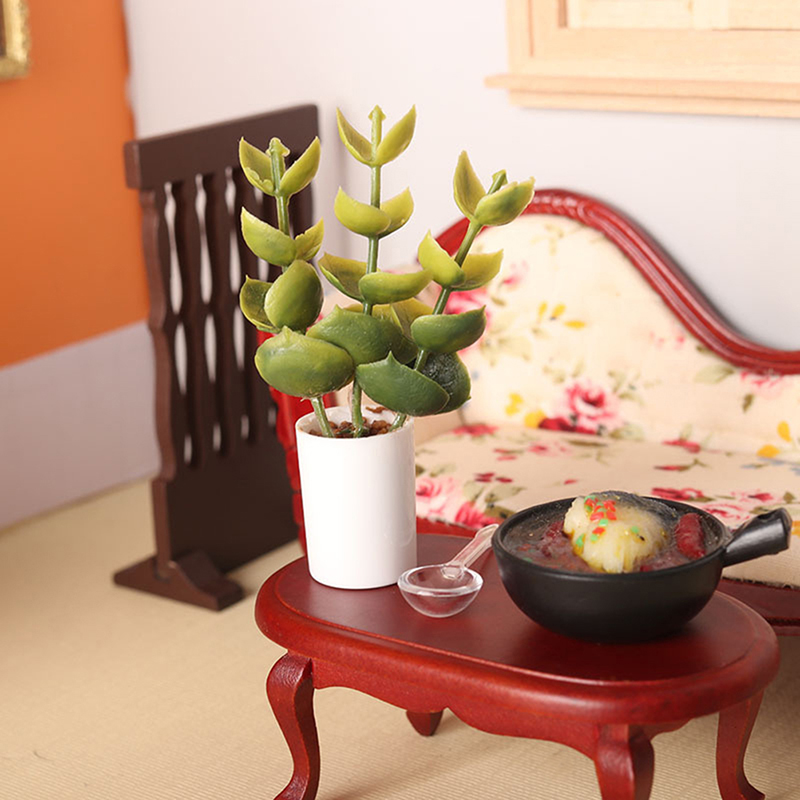 Nuova Offerta: Pianta in Vaso  - Bonsai Garden For Sale recensione e prezzo